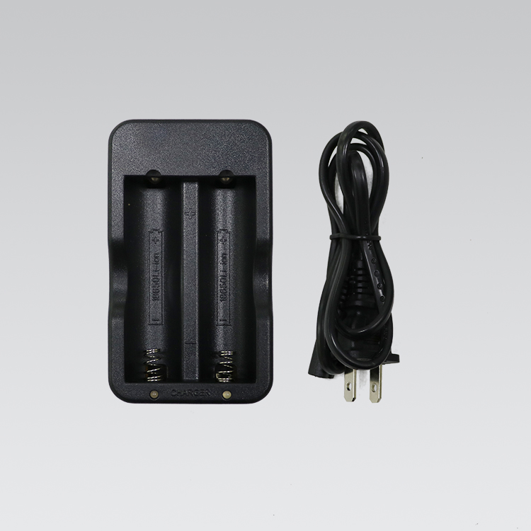 グッドグッズ　リチウムイオン電池専用充電器　CHG-2A　（CHG2A）