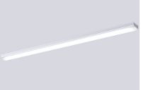 岩崎電気 LEDベースライト 天井直付型一体型 ELT42001DNPN9