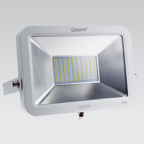 グッドグッズ　LED投光器　LDT-5F　（LDT5F）