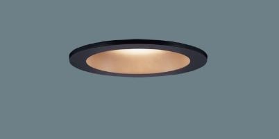 パナソニック ６０形光色拡散タイプ LGD1101LQ1