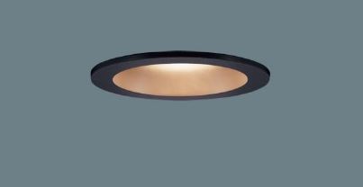 パナソニック ６０形光色集光タイプ LGD1121LQ1