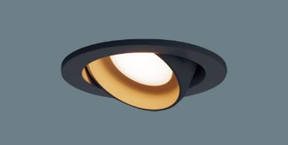 パナソニック ６０形拡散タイプ LGD1403LLB1