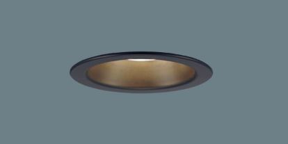 パナソニック 軒下ダウンライト６０形拡散タイプ LSEW5029LB1